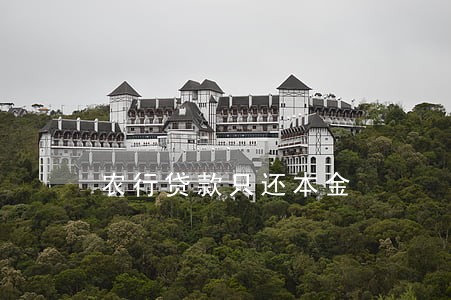 农行贷款只还本金