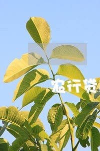 农行贷款扣款不足逾期一天 农行贷款扣款不足逾期一天
