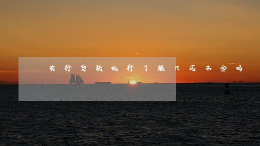 农行贷款执行了能只还本金吗 农行贷款执行了能只还本金吗