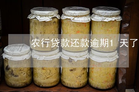 农行贷款还款逾期1天了