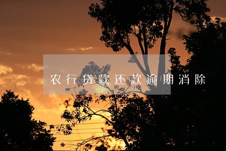 农行贷款还款逾期消除 农行贷款还款逾期消除