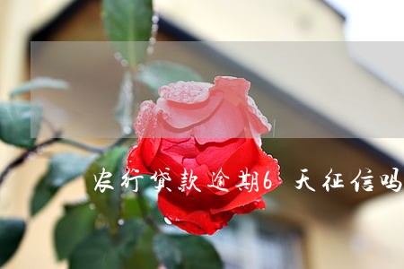农行贷款逾期6天征信吗 农行贷款逾期6天征信吗