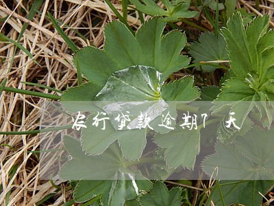 农行贷款逾期7天 农行贷款逾期7天