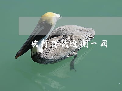 农行贷款逾期一周