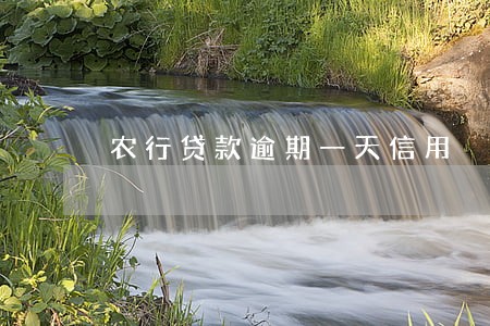 农行贷款逾期一天信用 农行贷款逾期一天信用