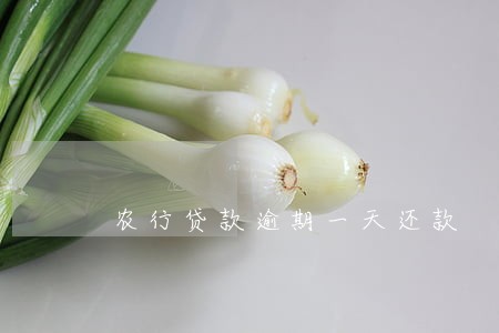 农行贷款逾期一天还款 农行贷款逾期一天还款