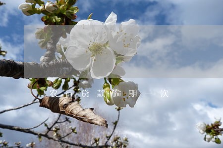 农行贷款逾期一次 农行贷款逾期一次