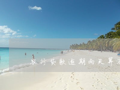 农行贷款逾期两天算不算不良 农行贷款逾期两天算不算不良