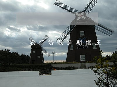 农行贷款逾期偿还 农行贷款逾期偿还