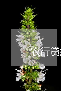 农行贷款逾期利率 农行贷款逾期利率