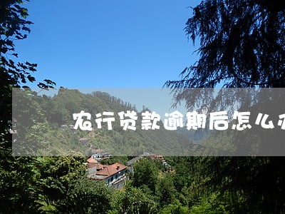 农行贷款逾期后怎么办 农行贷款逾期后怎么办
