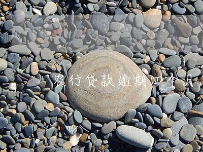农行贷款逾期四个月怎么办 农行贷款逾期四个月怎么办