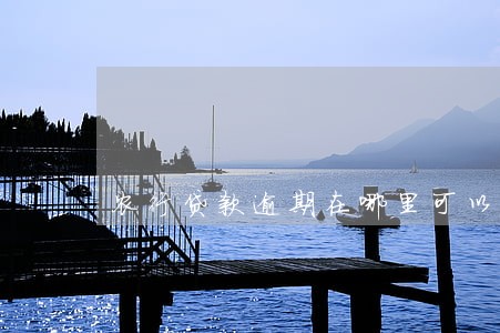 农行贷款逾期在哪里可以查到