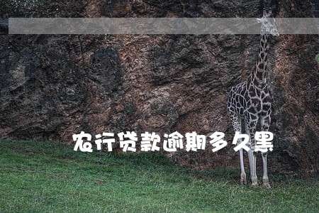 农行贷款逾期多久黑 农行贷款逾期多久黑