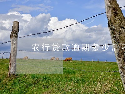 农行贷款逾期多少后不能贷款 农行贷款逾期多少后不能贷款