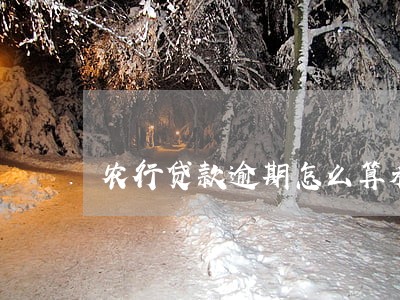 农行贷款逾期怎么算利息 农行贷款逾期怎么算利息