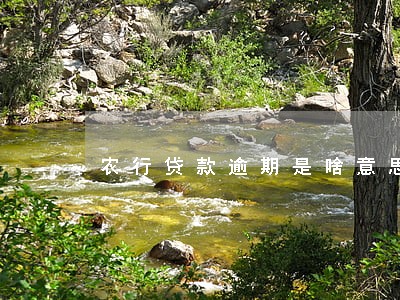 农行贷款逾期是啥意思 农行贷款逾期是啥意思