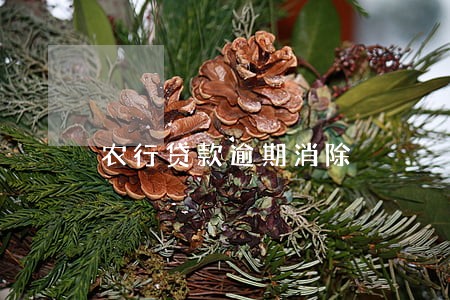 农行贷款逾期消除 农行贷款逾期消除
