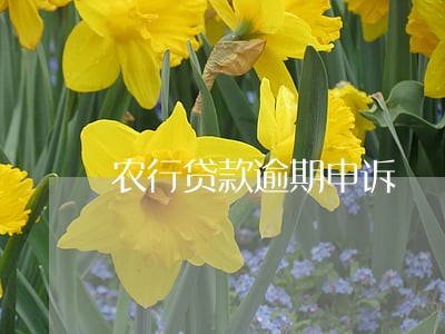 农行贷款逾期申诉 农行贷款逾期申诉