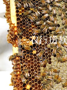 农行贷款逾期被起诉 农行贷款逾期被起诉