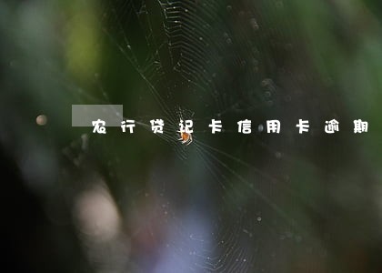 农行贷记卡信用卡逾期