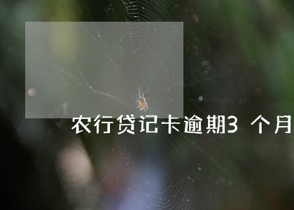 农行贷记卡逾期3个月 农行贷记卡逾期3个月