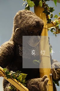 农行车贷分期逾期3万 农行车贷分期逾期3万