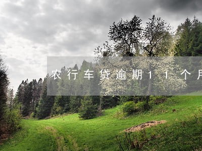 农行车贷逾期11个月可以协商么 农行车贷逾期11个月可以协商么