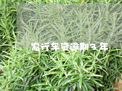 农行车贷逾期3年 农行车贷逾期3年