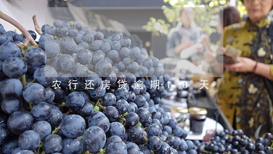 农行还房贷逾期10天 农行还房贷逾期10天