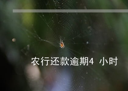 农行还款逾期4小时 农行还款逾期4小时