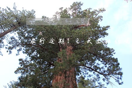 农行逾期12天上征信吗 农行逾期12天上征信吗