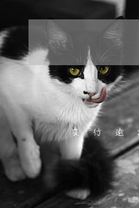农行逾期15000