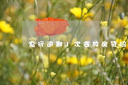 农行逾期1次会放房贷吗 农行逾期1次会放房贷吗