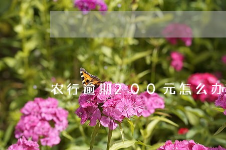 农行逾期200元怎么办 农行逾期200元怎么办