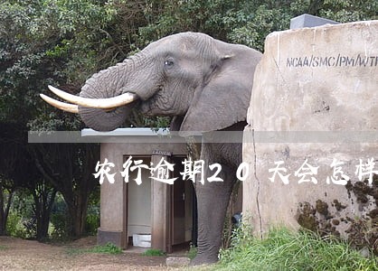 农行逾期20天会怎样 农行逾期20天会怎样
