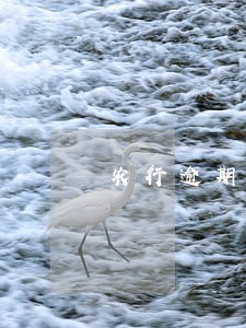 农行逾期3天利息 农行逾期3天利息