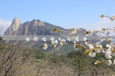农行逾期3天退费 农行逾期3天退费