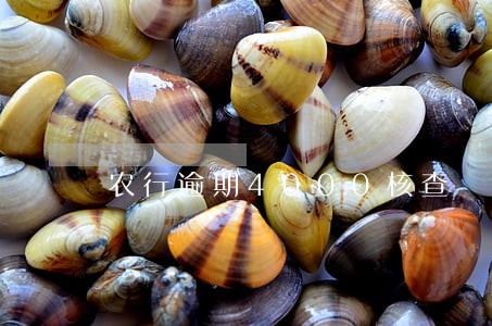 农行逾期4000核查 农行逾期4000核查