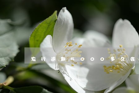 农行逾期5000多久会上门催款 农行逾期5000多久会上门催款