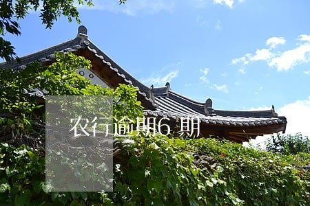 农行逾期6期