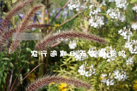 农行逾期8天会封卡吗 农行逾期8天会封卡吗