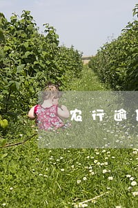 农行逾期一天会影响信用吗 农行逾期一天会影响信用吗
