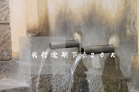 农行逾期下卡20K 农行逾期下卡20K