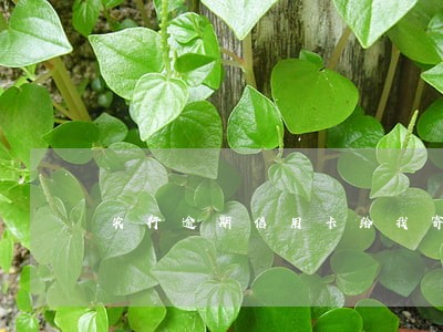 农行逾期信用卡给我寄信封呢 农行逾期信用卡给我寄信封呢