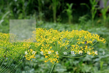 农行逾期其他银行信用卡 农行逾期其他银行信用卡