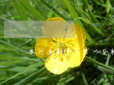 农行逾期多久可以贷款 农行逾期多久可以贷款