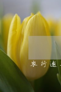 农行逾期贷款起诉规定 农行逾期贷款起诉规定