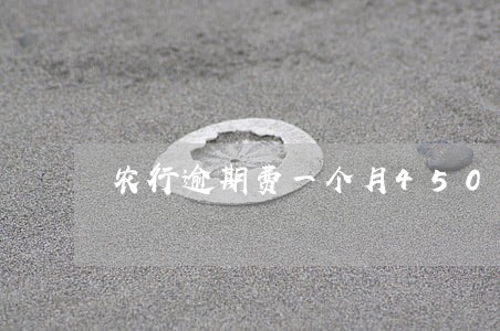 农行逾期费一个月450 农行逾期费一个月450