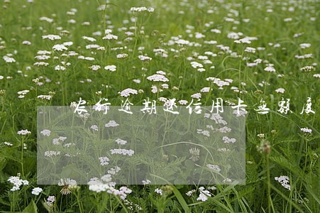 农行逾期还信用卡无额度